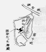 ���Ƌ{�ʒu�}